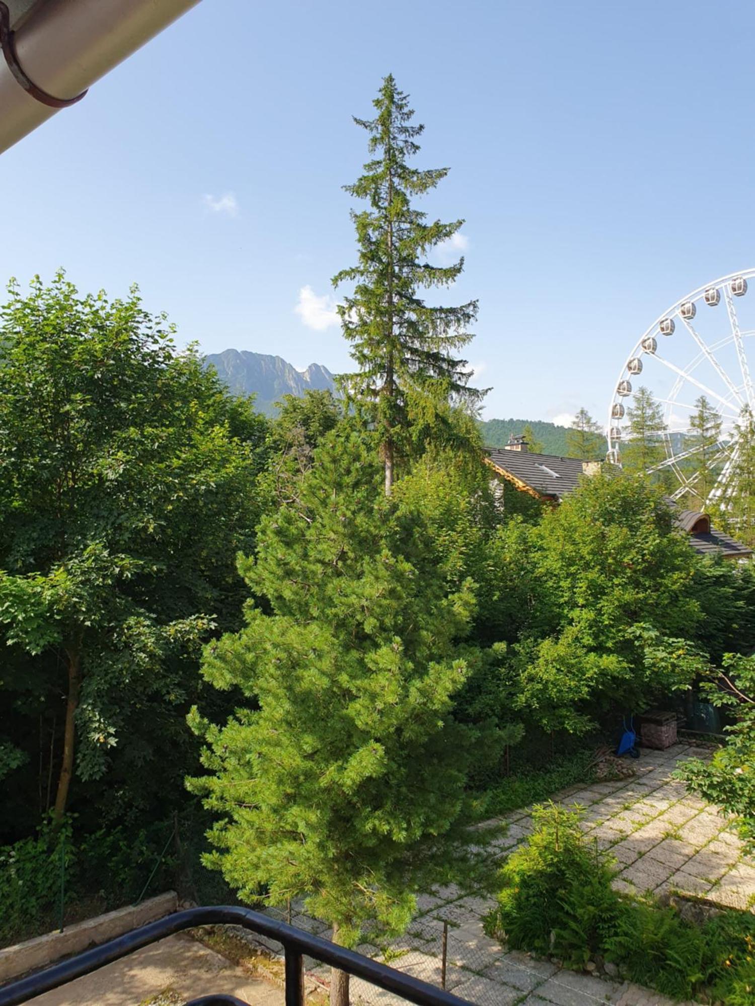 Asteria Leilighet Zakopane Rom bilde